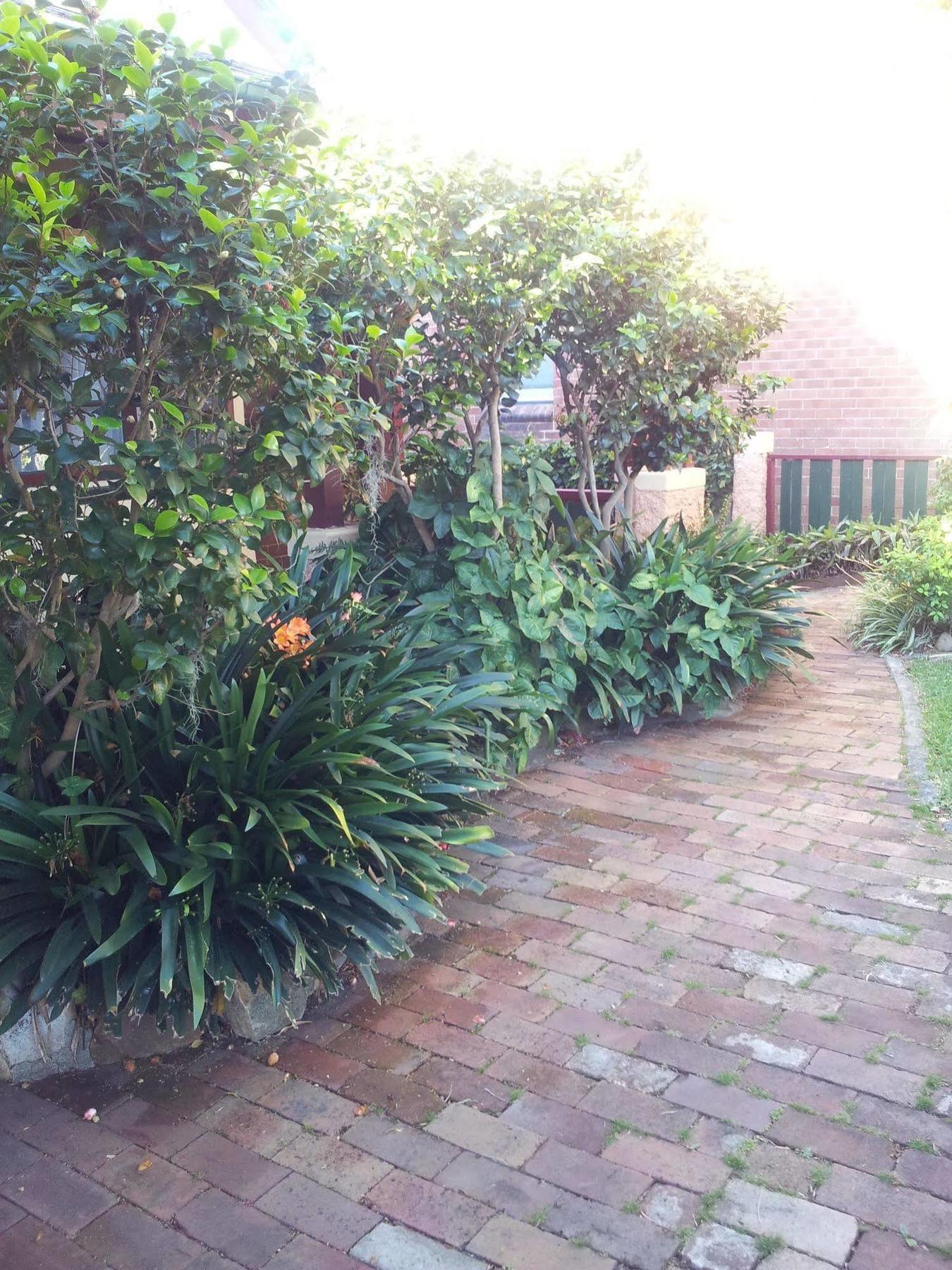 Hamilton Heritage B & B Newcastle Bagian luar foto